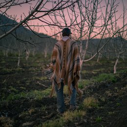 Lascar Poncho