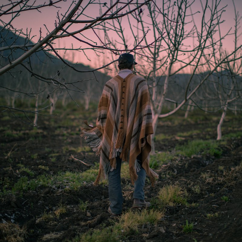 Lascar Poncho