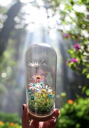 Pequeño jardín bajo el mundo (17x7.5 cm)