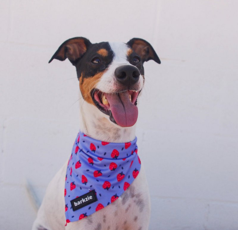 Bandana - Huelva