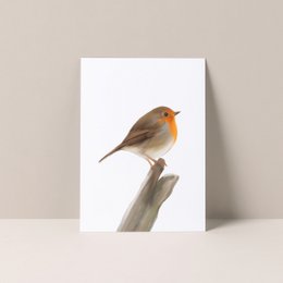 Postkort Robin
