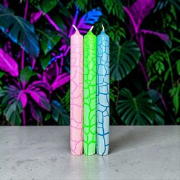 Wild Candles * Crocodile
