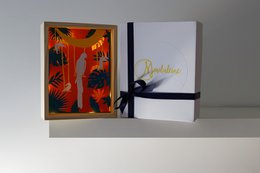 Libra light frame