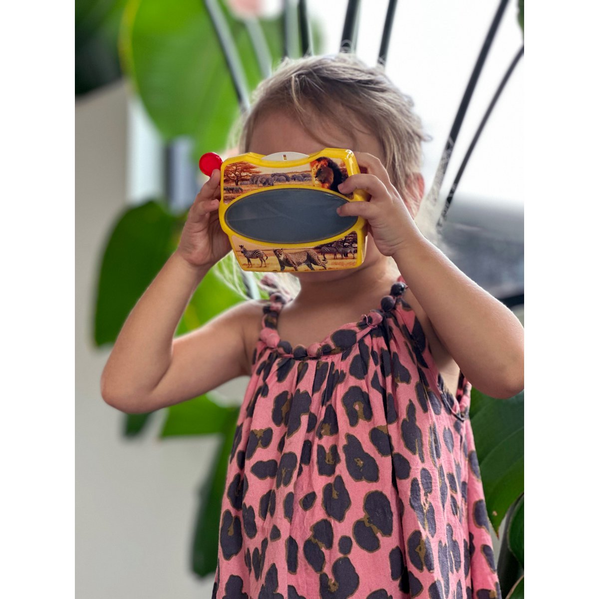 3D Viewer - Wild Animals