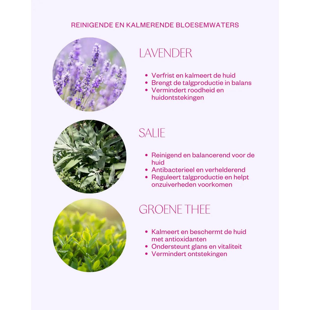Sage & Lavender Floral Water Facial Mist - Balancing & hydrating face spray