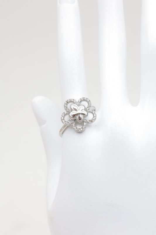 Bague en acier inoxydable ajustable