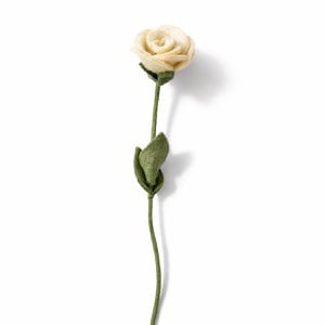 Rose white
