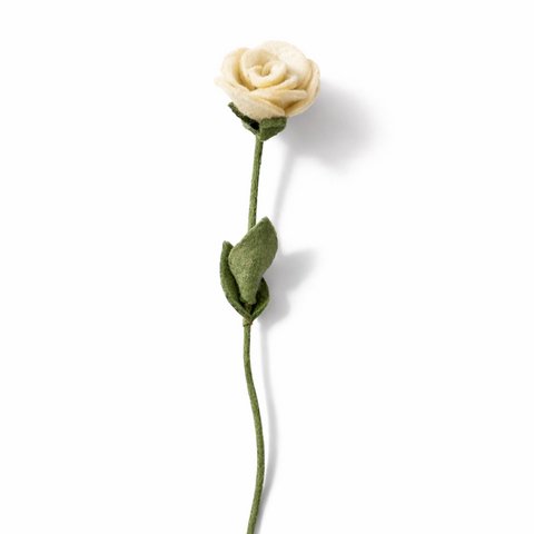 Rose white