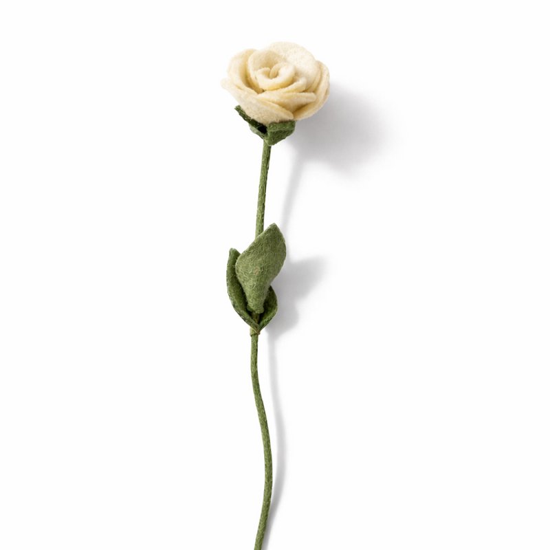 Rosa bianca