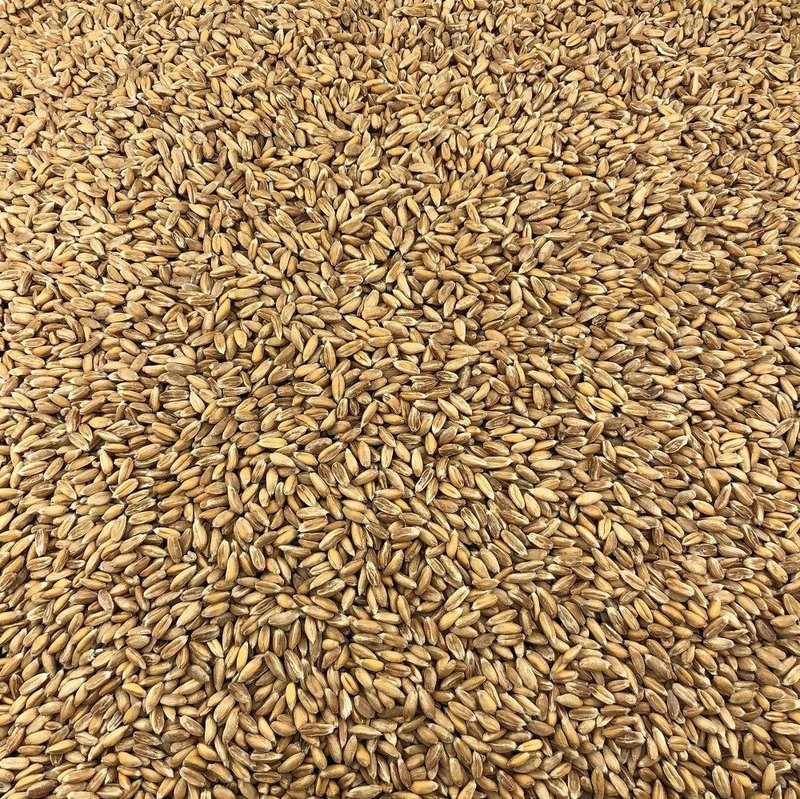 Organic Spelled in Bulk