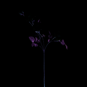 Kunstbloem ROSE synthetische vezels roos Ø8 cm H65 cm