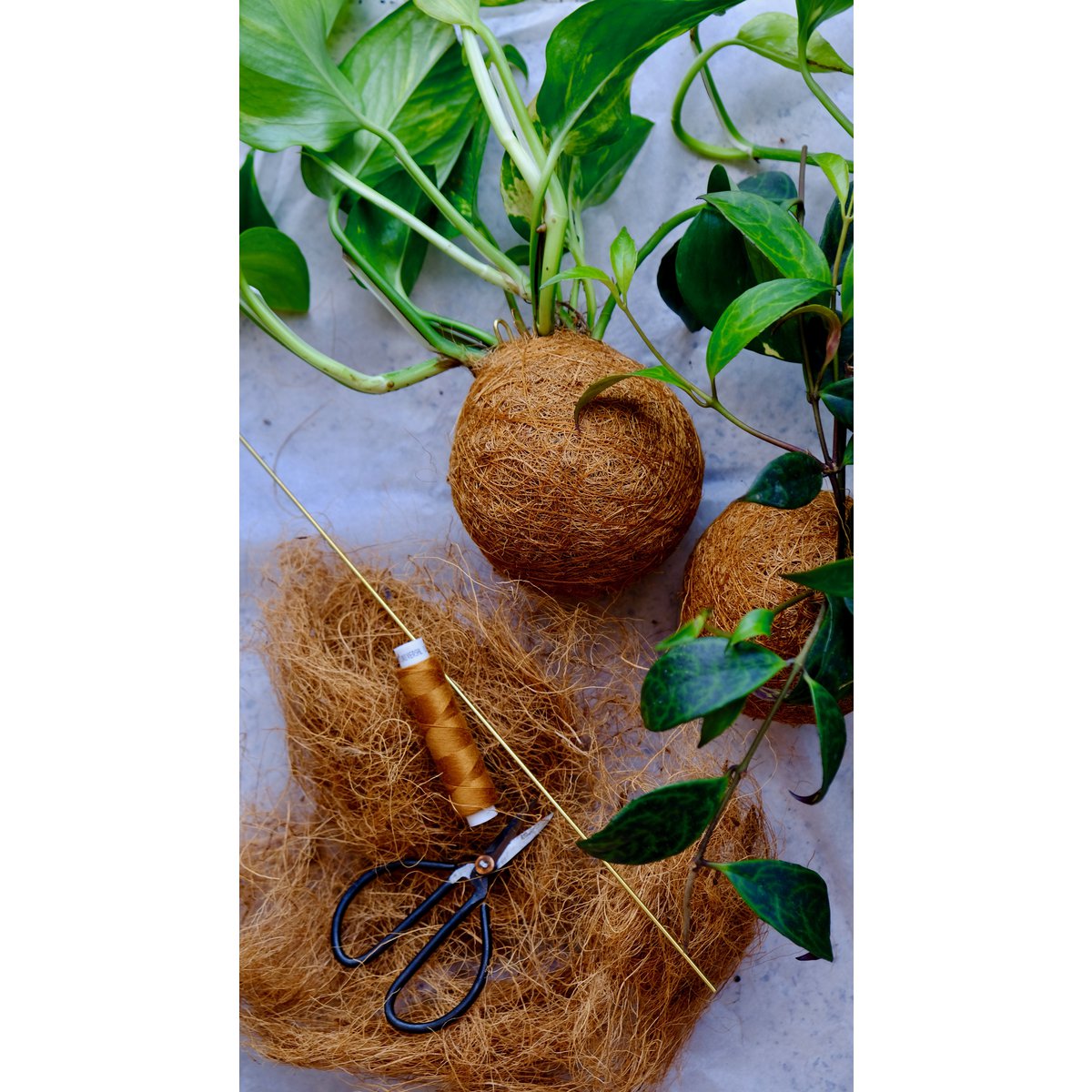Zestaw DIY Kokedami