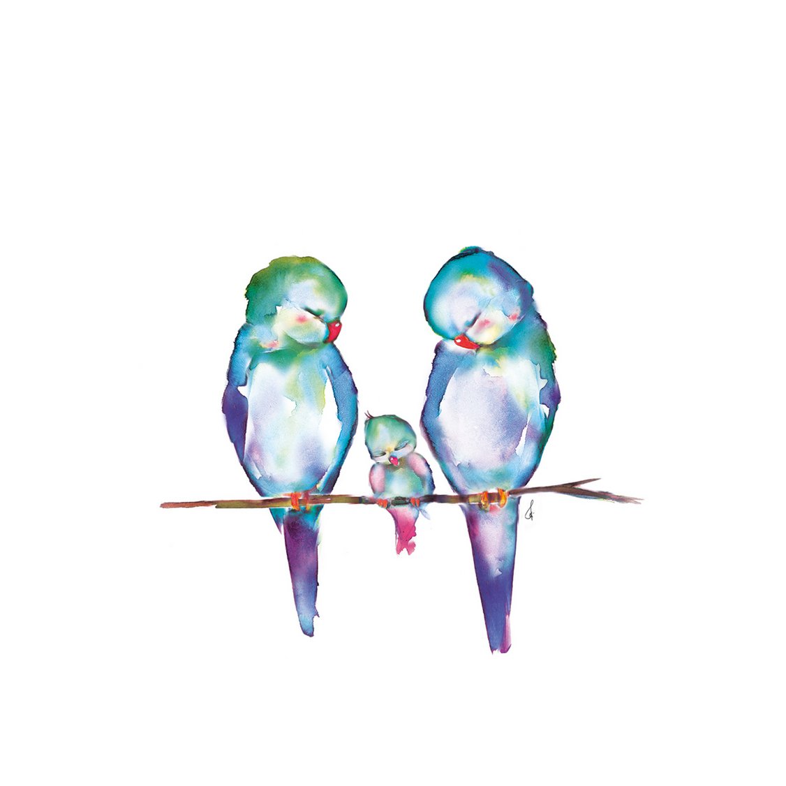 Loet, Pip & Kobe birds