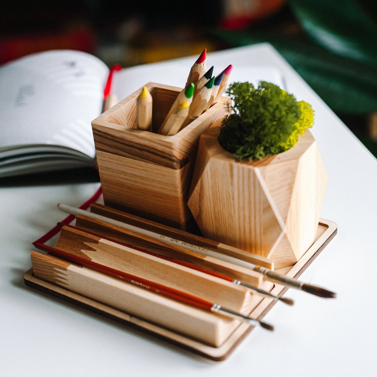 Wooden desk organizer with moss, Desk accessories with moss