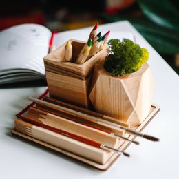 Wooden desk organizer with moss, Desk accessories with moss
