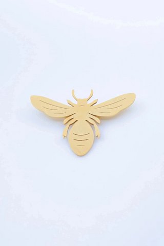 Elegant brooches