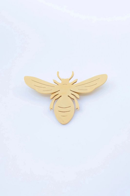 Broches elegantes