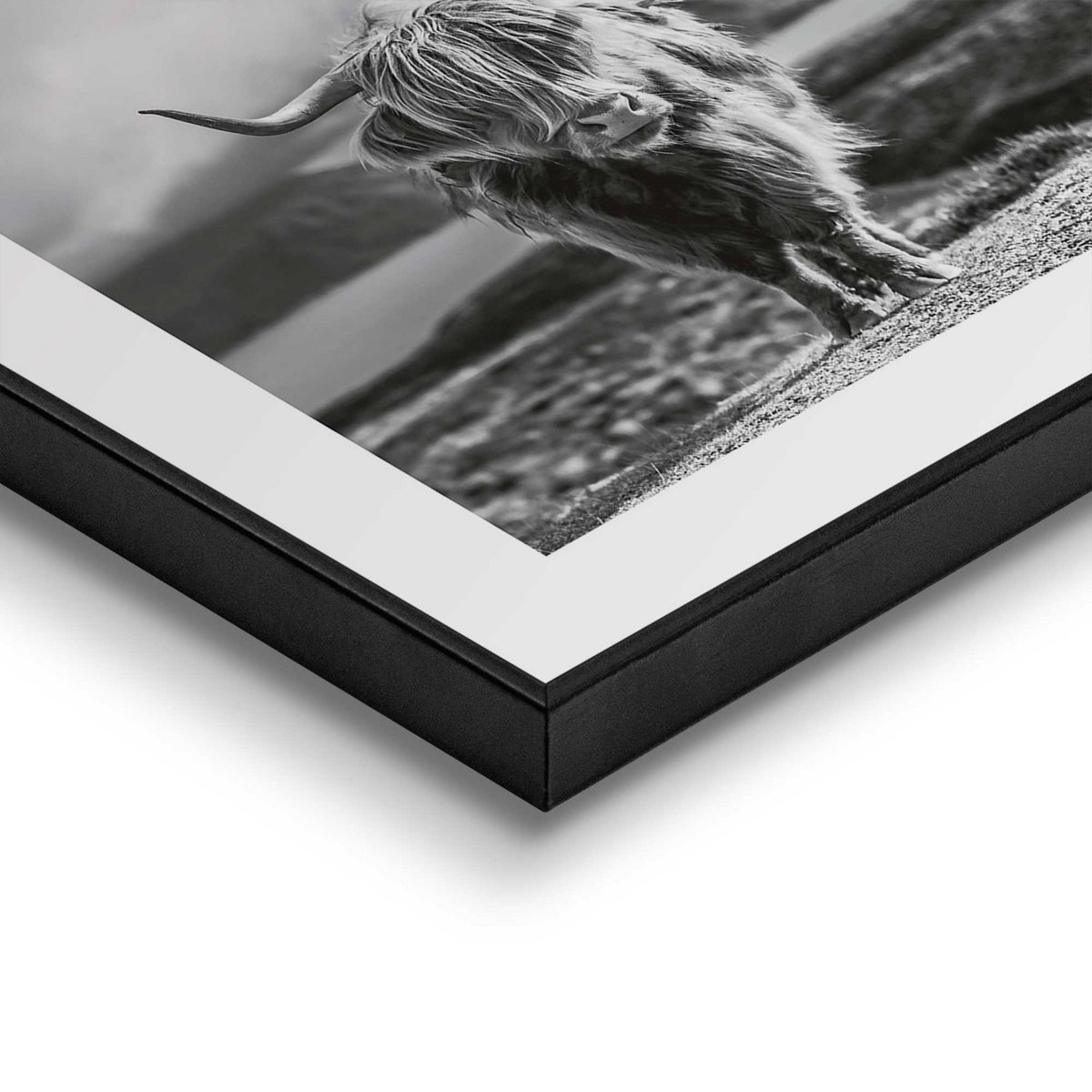 Painting Slim Frame Highlander 50x50