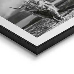 Painting Slim Frame Highlander 50x50