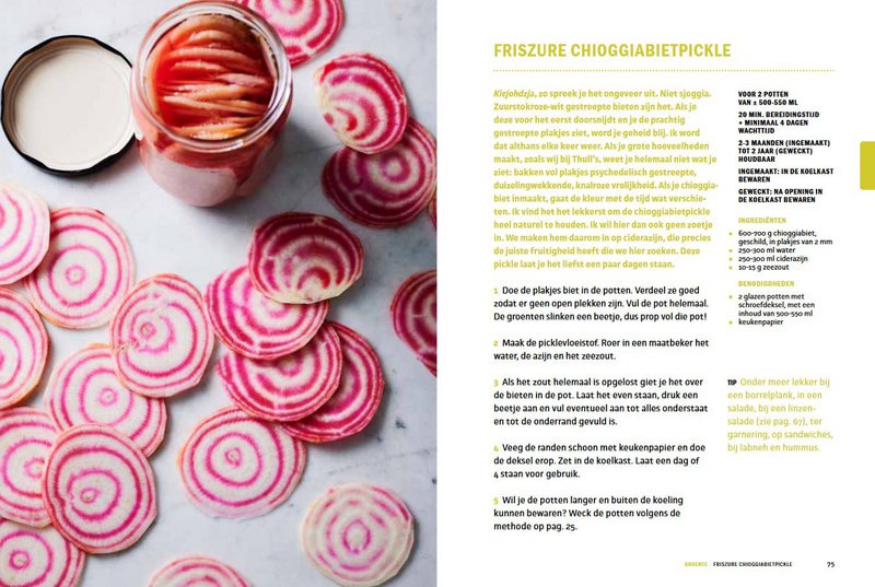 Simone van Thull - Fermentation and Fermentation Bible