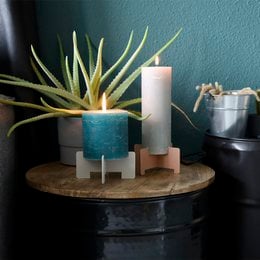 Tall, cylindrical pink candle on a wooden stand with a potted plant.
