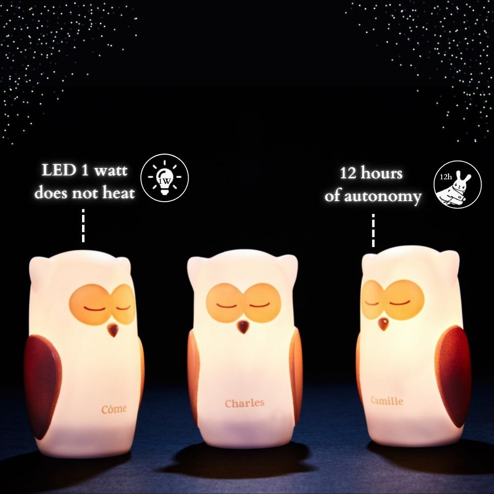 Path of Light - Côme, Charles & Camille Owls - Inductie Opladen - Wit