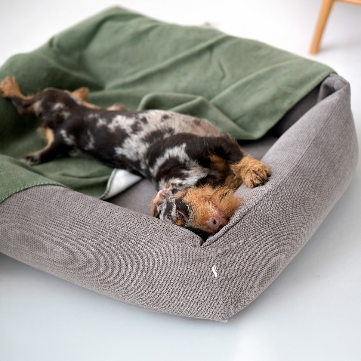 TUDOR ORTHO | Premium Orthopedic Dog Bed