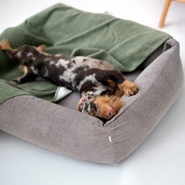 TUDOR ORTHO | Premium Orthopedic Dog Bed
