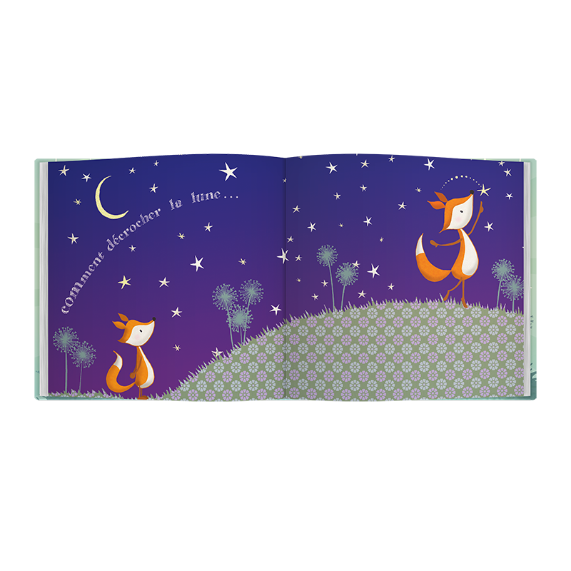 C'est Toi L'Exemple - Gift for the big brother or the big sister at the birth of a baby