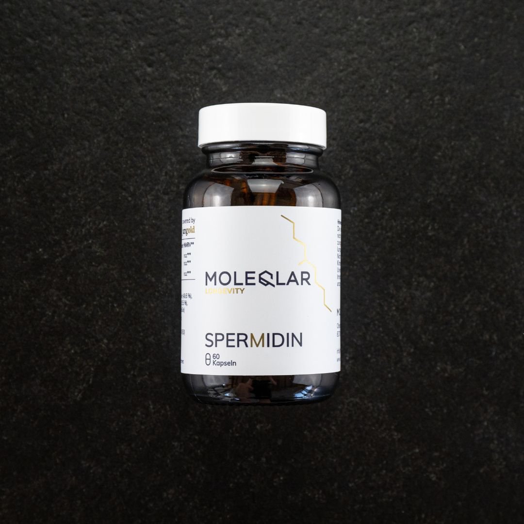 espermidina
