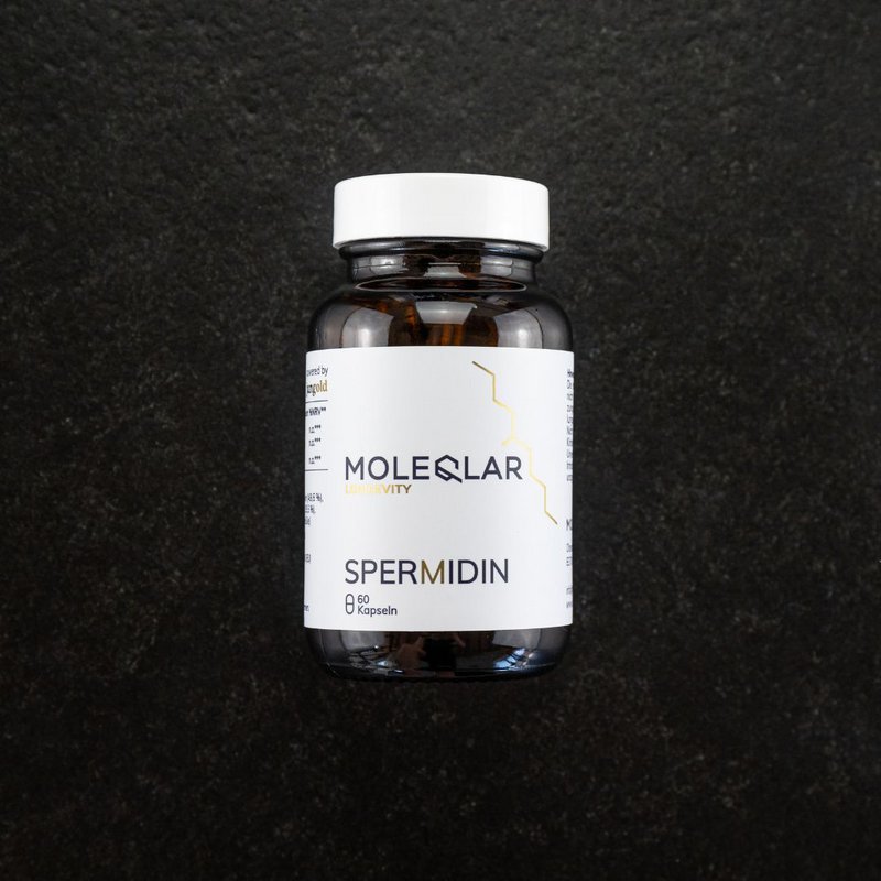 Spermidina