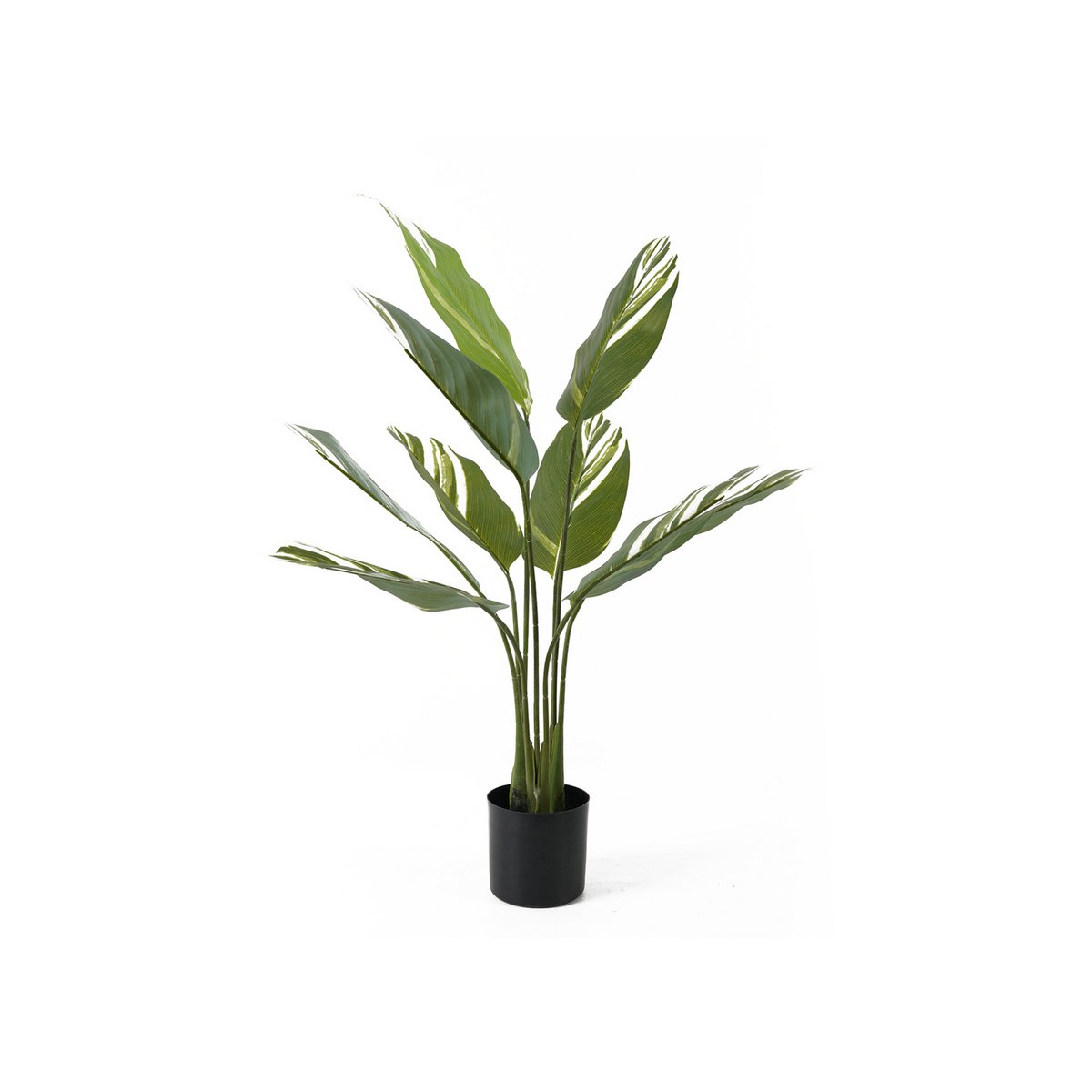 Artificial Plant Calathea