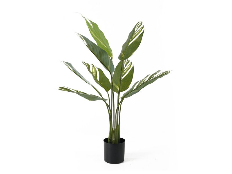Artificial Plant Calathea