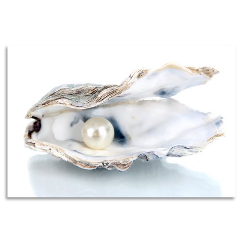 Acrylic glass picture - Shell with Pearl