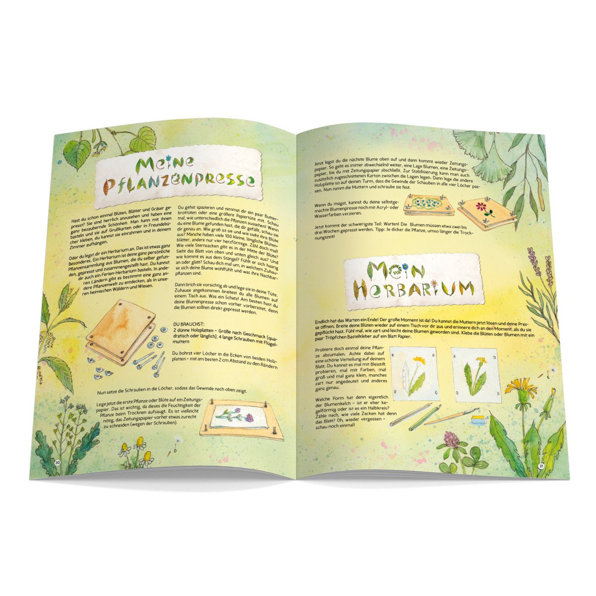 Magazine pour enfants Waldorf - CURTAIN ON Numéro 131 Herbes sauvages, herbes médicinales