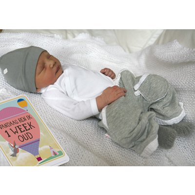 Cartes photo pour bébé Milestone® - Originales