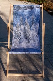 Transat - Chilienne - forêt de sapins - Design by Karadrone