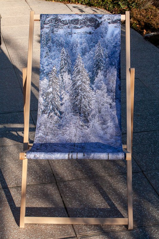 Transat - Chilienne - forêt de sapins - Design by Karadrone