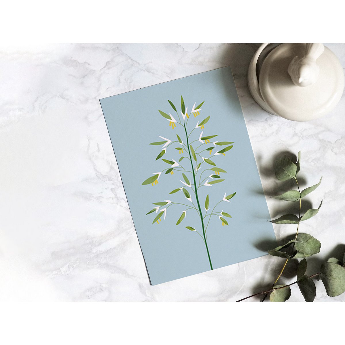 Carte Postale Botanique - Bromus