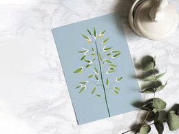 Carte Postale Botanique - Bromus