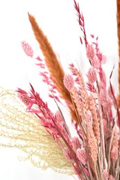 Ramo de flores secas - Cerise - 60 cm