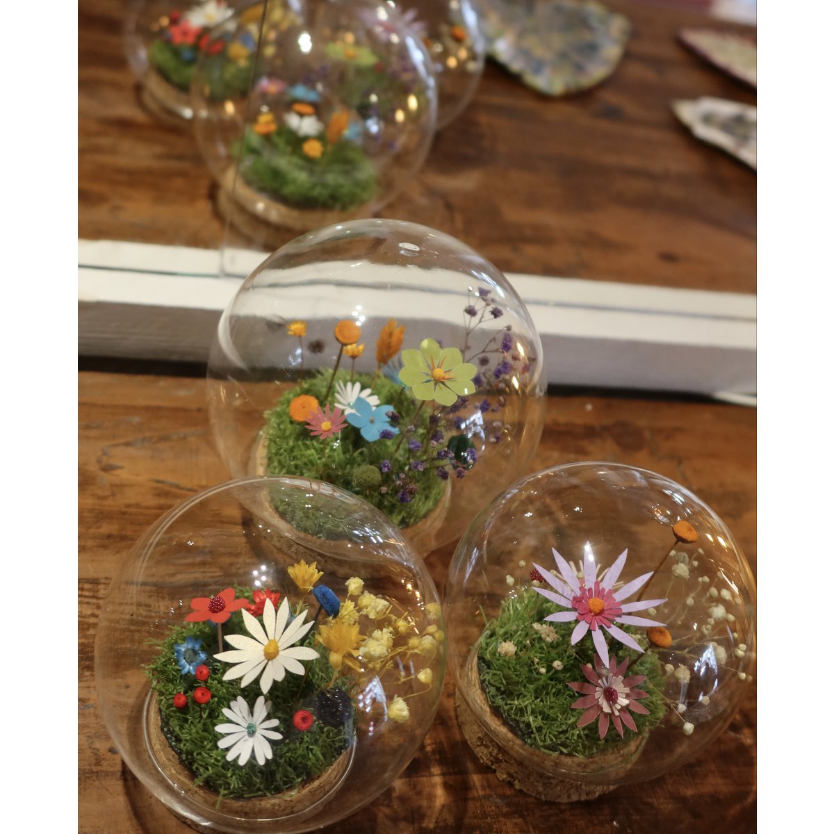 Campana de flores secas (burbuja de jardín (9 cm))