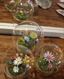 Tørret blomsterklokke (haveboble (9 cm))