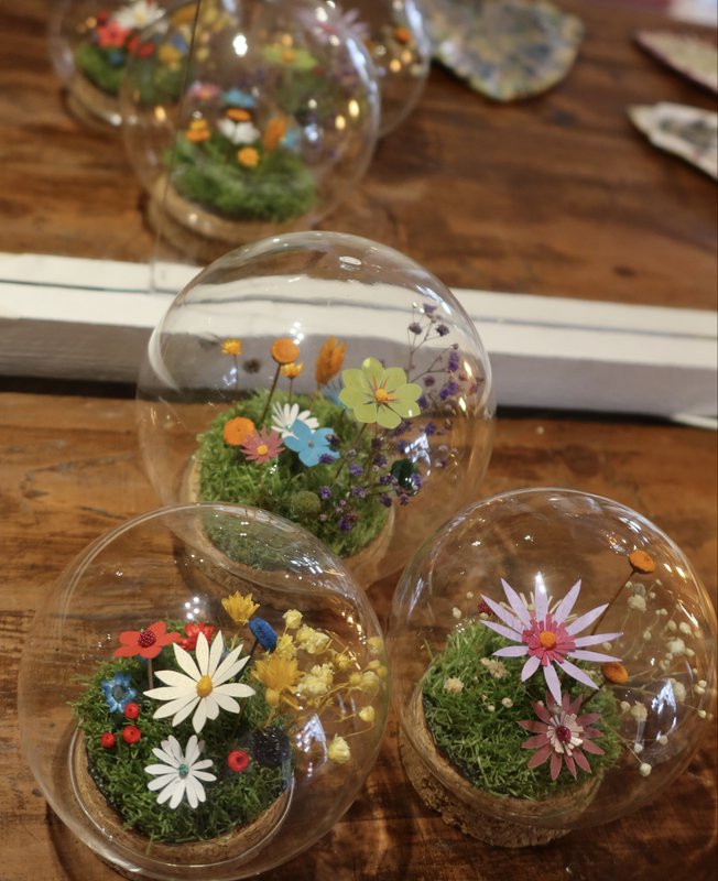 Tørret blomsterklokke (haveboble (9 cm))