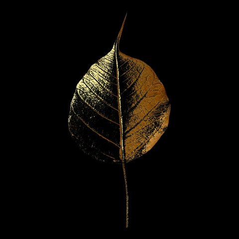 Gold leaf picture - Gold Foliage