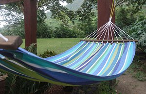 H ngematte AMAZONAS DOMINICA