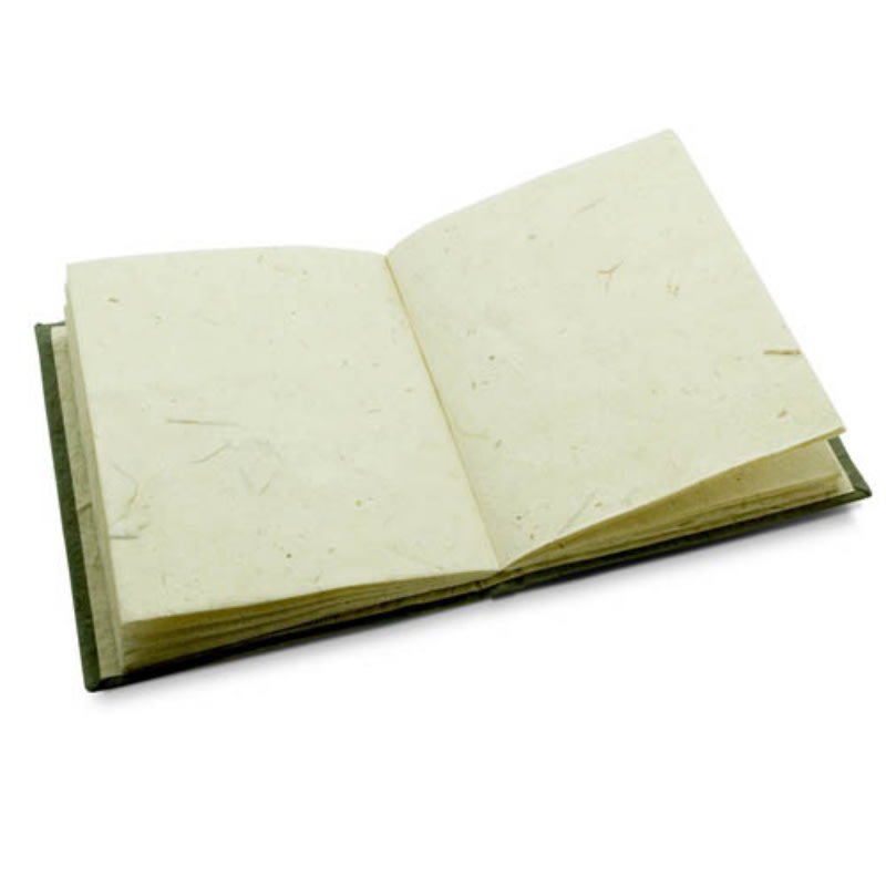 Set di quaderni e quaderni con sterco di elefante Panda