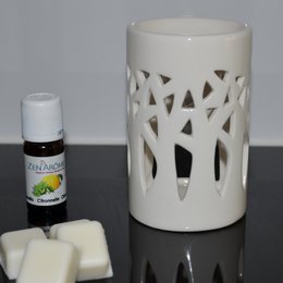 Quemador de perfume – White Forest – Candelabro de aromaterapia – Fondant, ceras perfumadas – Aromas ambientales – Idea de regalo