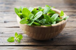 Greek Mint 25g