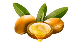 Kulinarisk arganolie